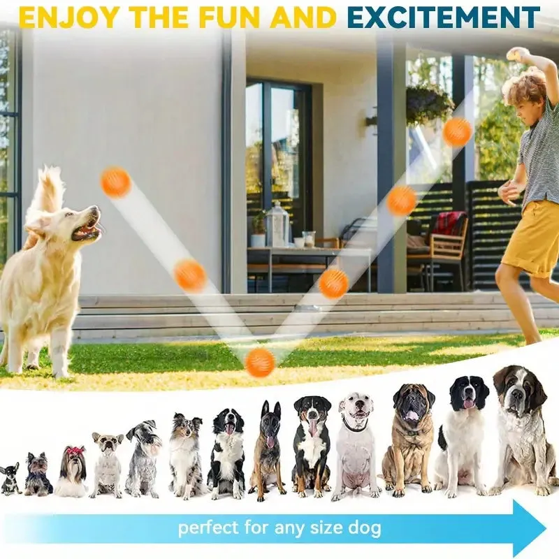 6 DURABLE SPIKY SQUEAKY DOG BALLS