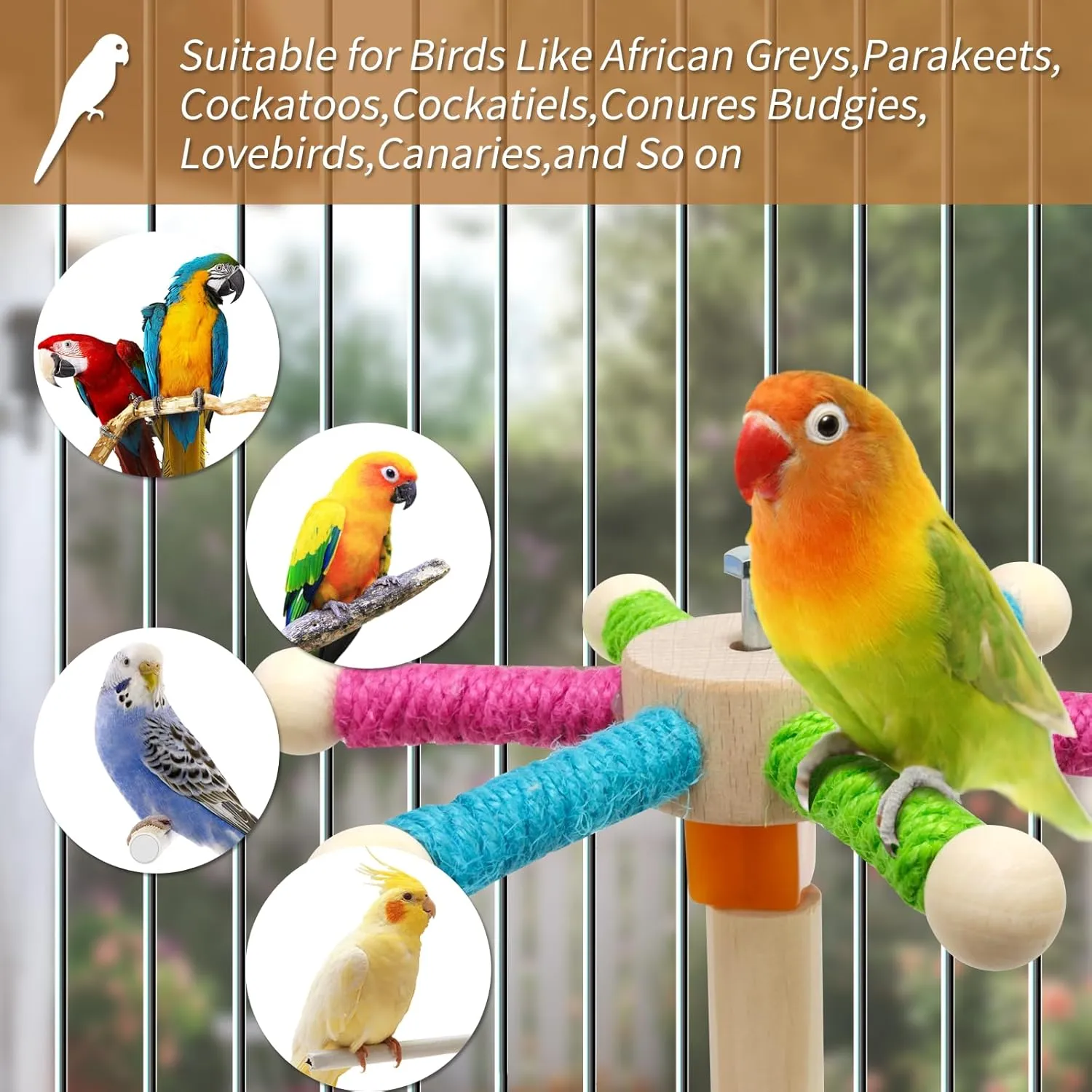 Bird Perch Toy for Cage,Spinning Windmill Bird Perch Toy,360 Rotating Chewable Stand with Grinding Sticks,Interactive Cage/Tabletop Training Toy for Parakeets,Cockatiels,Lovebirds (Mixcolor, Round)