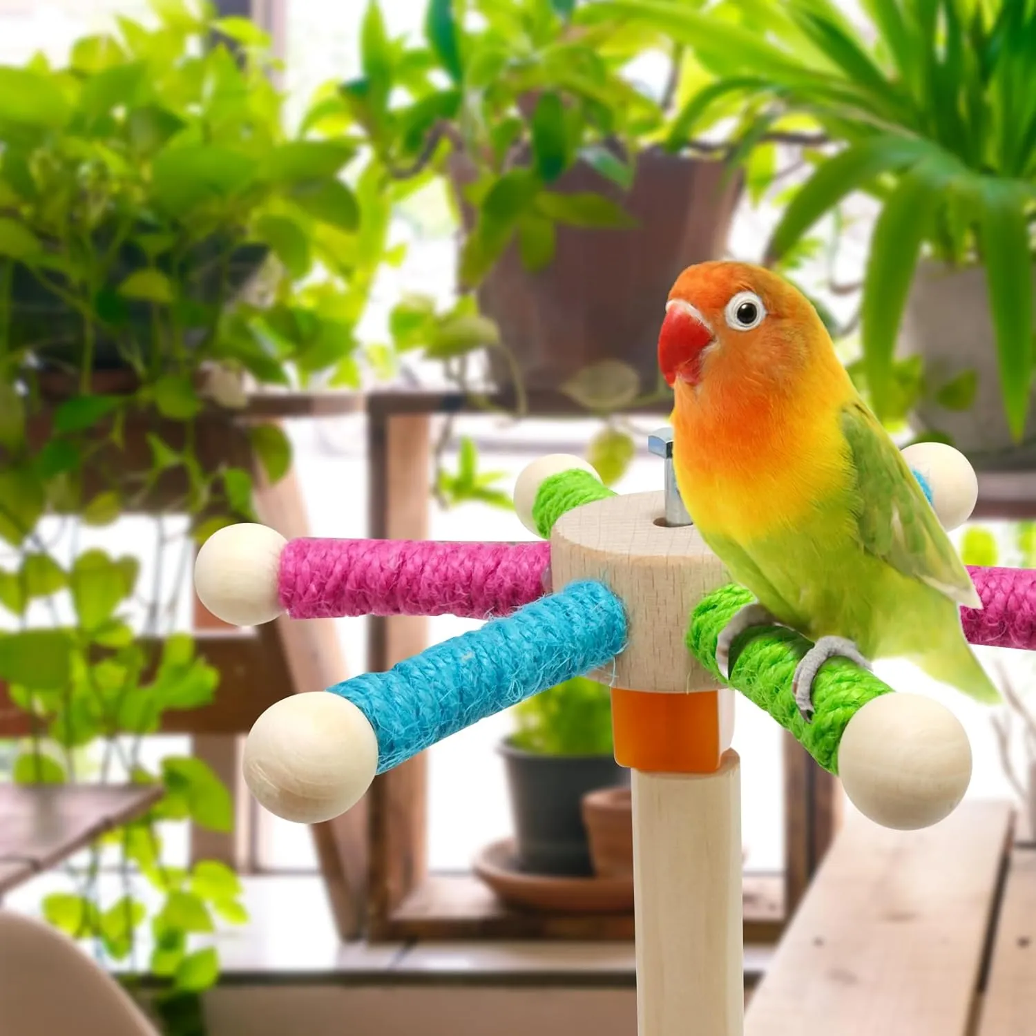 Bird Perch Toy for Cage,Spinning Windmill Bird Perch Toy,360 Rotating Chewable Stand with Grinding Sticks,Interactive Cage/Tabletop Training Toy for Parakeets,Cockatiels,Lovebirds (Mixcolor, Round)