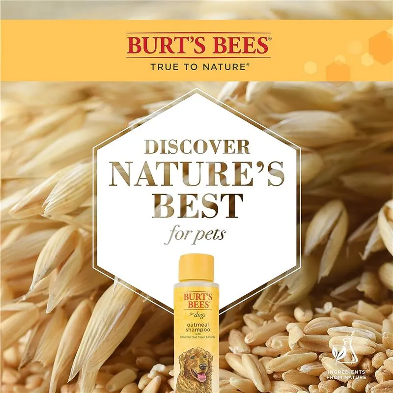 Burt's Bees Oatmeal Conditioner for Dogs with Colloidal Oat Flour & Honey, 10oz
