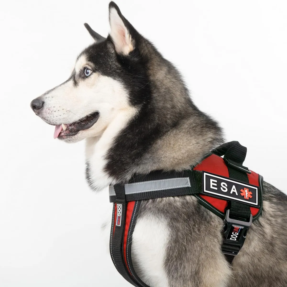 Dogline Emotional Support Animal Patch for Dog Harness and Vest ESA Removable 3D Rubber Patches Hook Backing for Small or Large Service Dogs