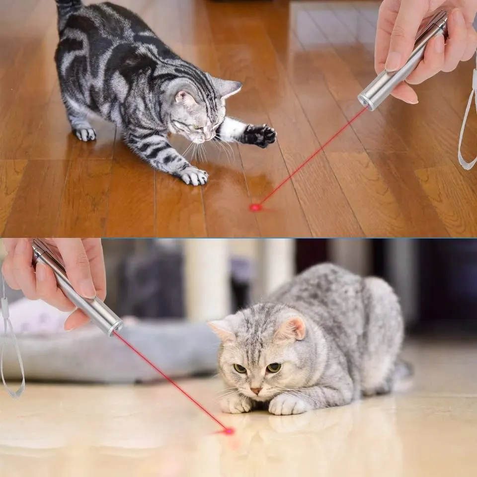 Interactive Laser Toy for Cats, Dogs and Pets Halpix Laser Toy