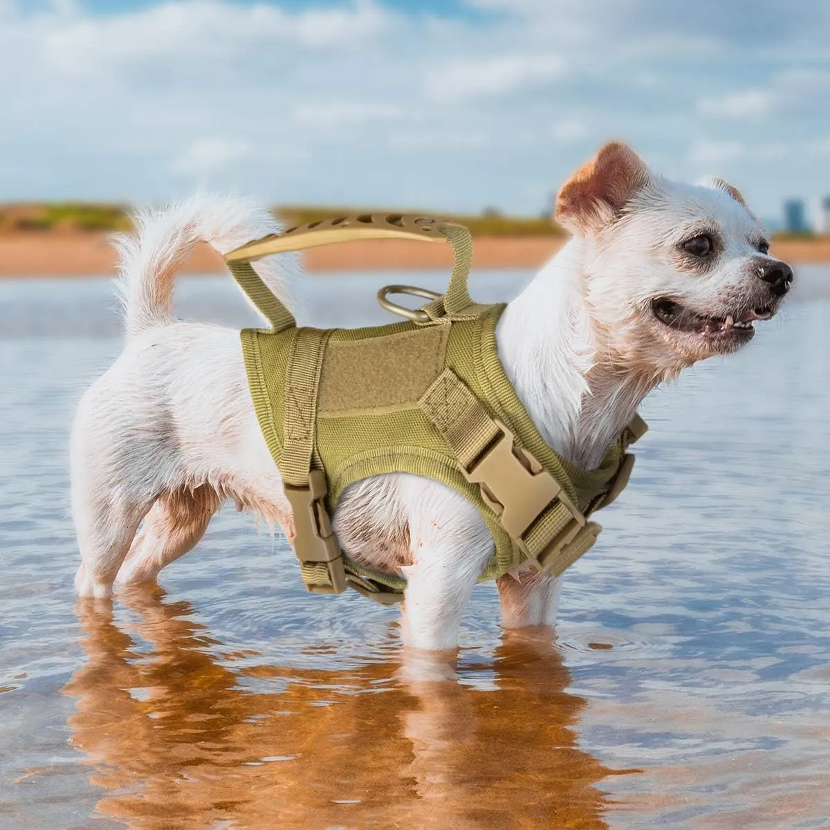 IronSeals Tactical Nylon Adjustable Dog Vest Harness Comfy Mesh Padding Puppy Vest with Quick-Release Buckle and Rubber Handle for Small Dog/Big Cat