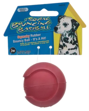 Isqueak Bouncin Baseball