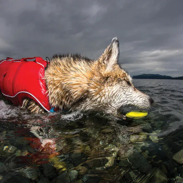 Kurgo Dog Toy Skipping Stones