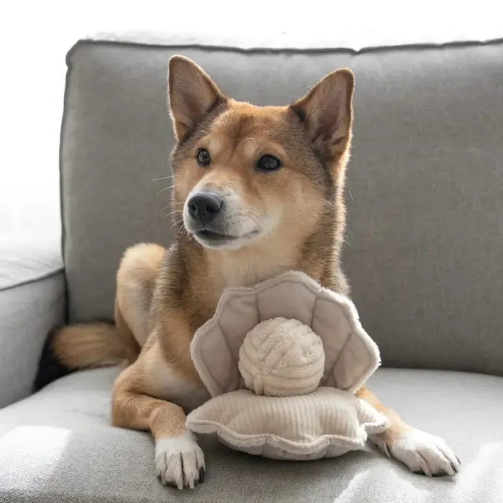LAMBWOLF COLLECTIVE - OYSTER POP DOG TOY