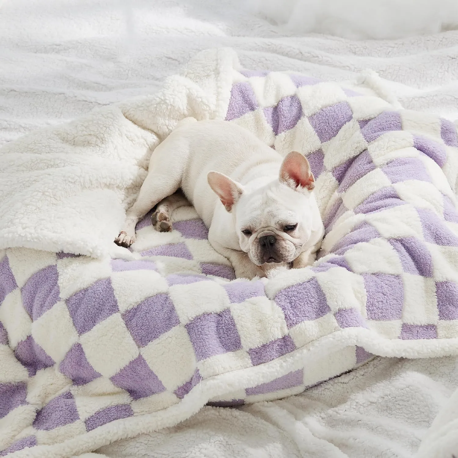 Lesure Waterproof Dog Blanket for Medium Dogs - Washable Double Sided Dog Blankets with Warm Jacquard Shag and Soft Sherpa Fleece, Pet Cat Blanket for Couch Protection, 3D Textured Checks, Purple