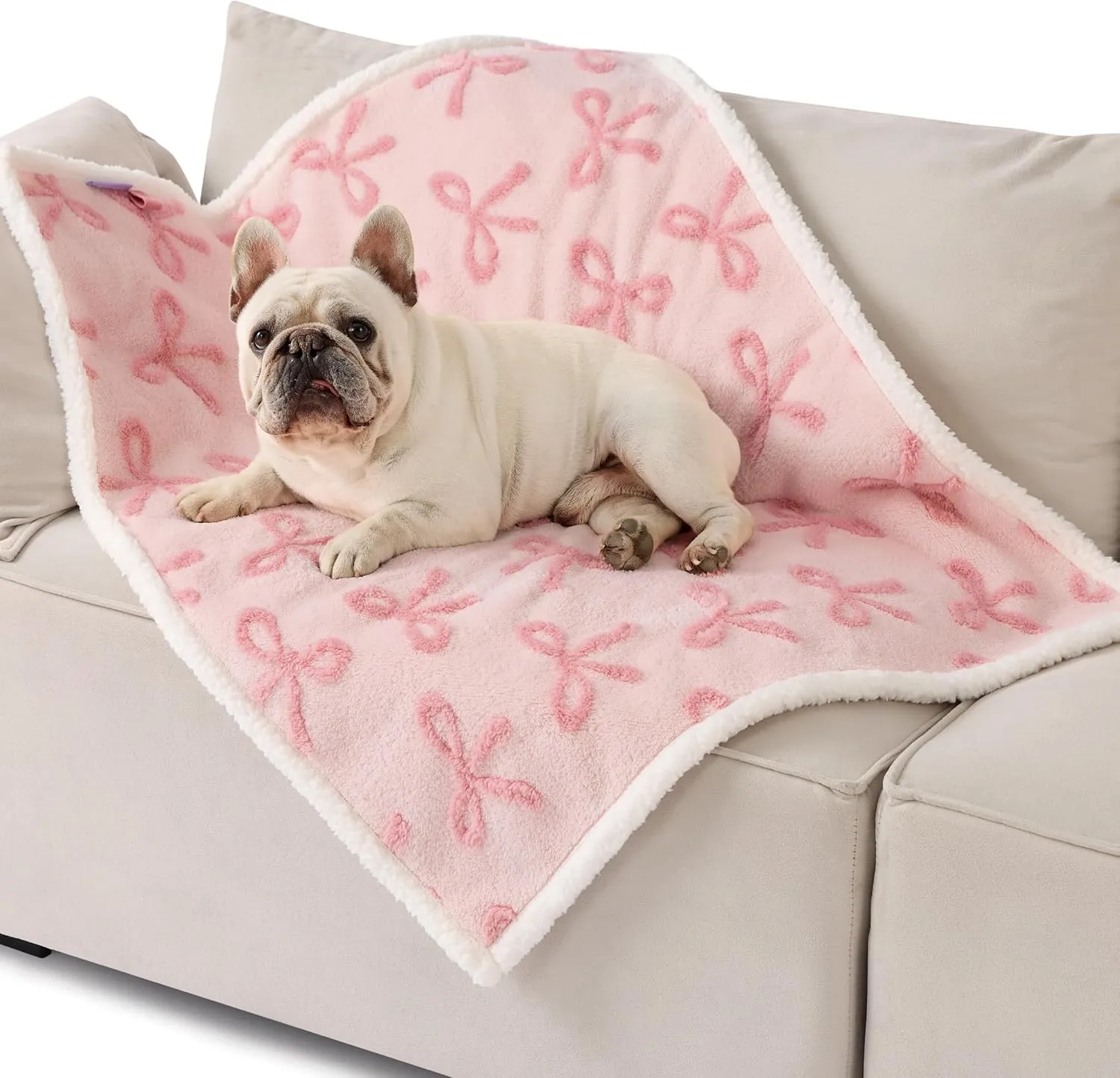 Lesure Waterproof Puppy Blanket for Medium Dogs - Washable Double Sided Dog Blankets with Warm Jacquard Shag and Soft Sherpa Fleece, Pet Cat Blanket for Couch Protection, Bow DesignPink Taffy