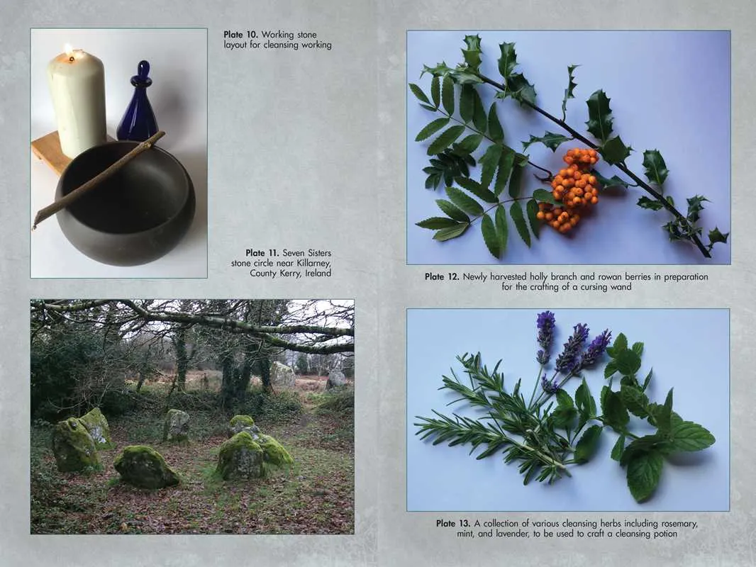 Living Wands of the Druids