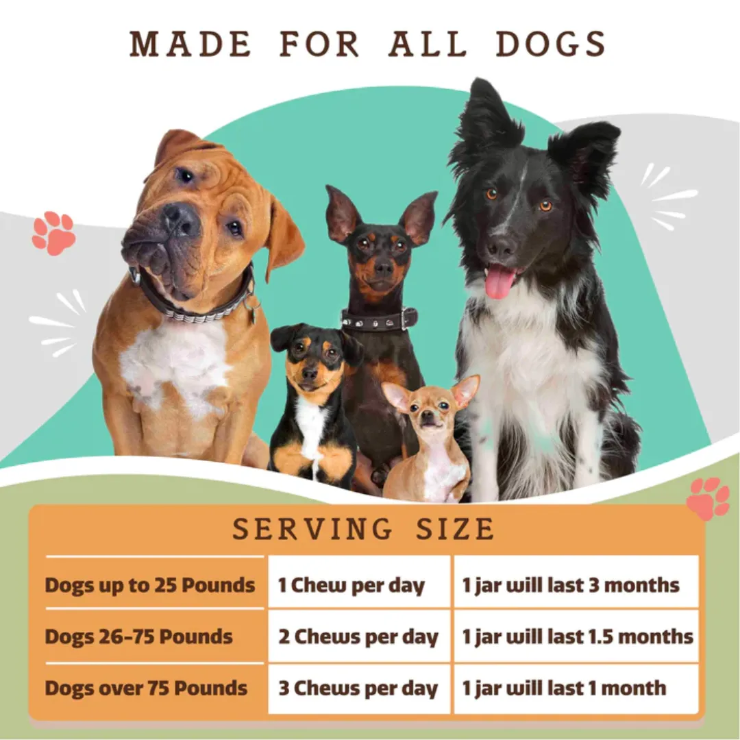 Natural Dog Company Hip and Joint Supplement