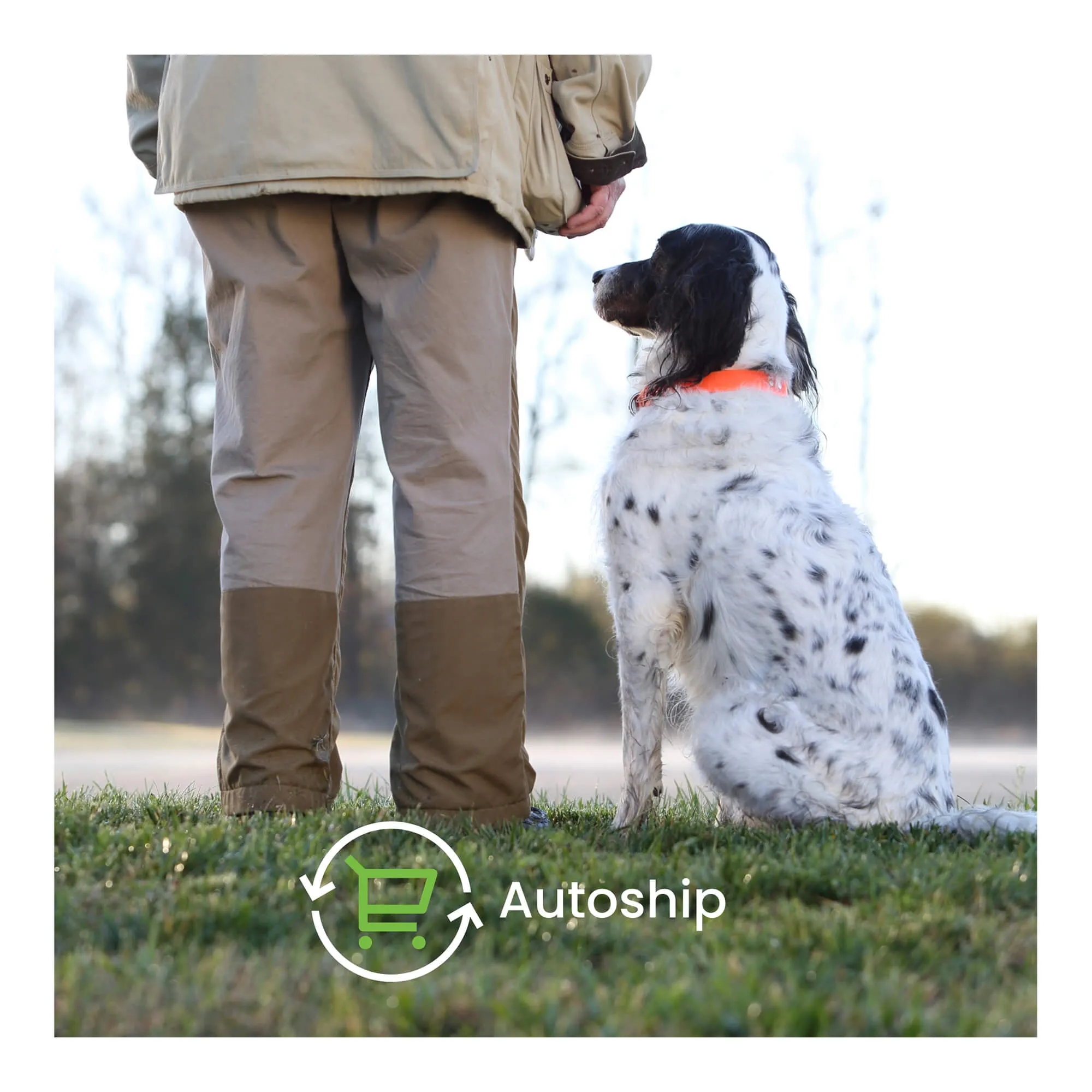 Nutramax Dasuquin for Dogs, Joint Health Supplement, Glucosamine, Chondroitin, ASU and More, Soft Chews