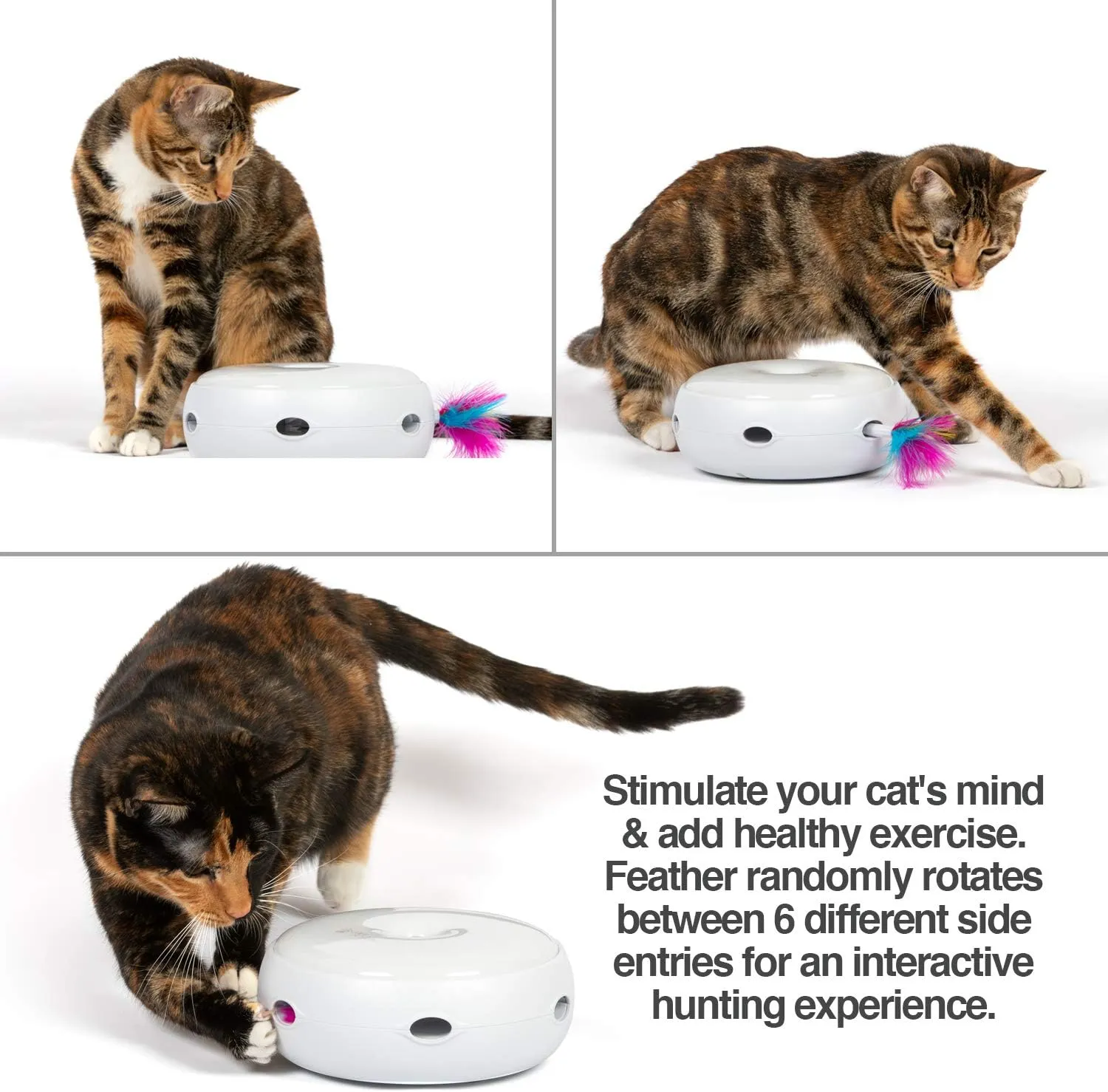 PetFusion Ambush Interactive Cat Toys for Indoor/Outdoor Activity - New & Improved Cat Feather Toys Replacement Feathers Available 12 Month Warranty