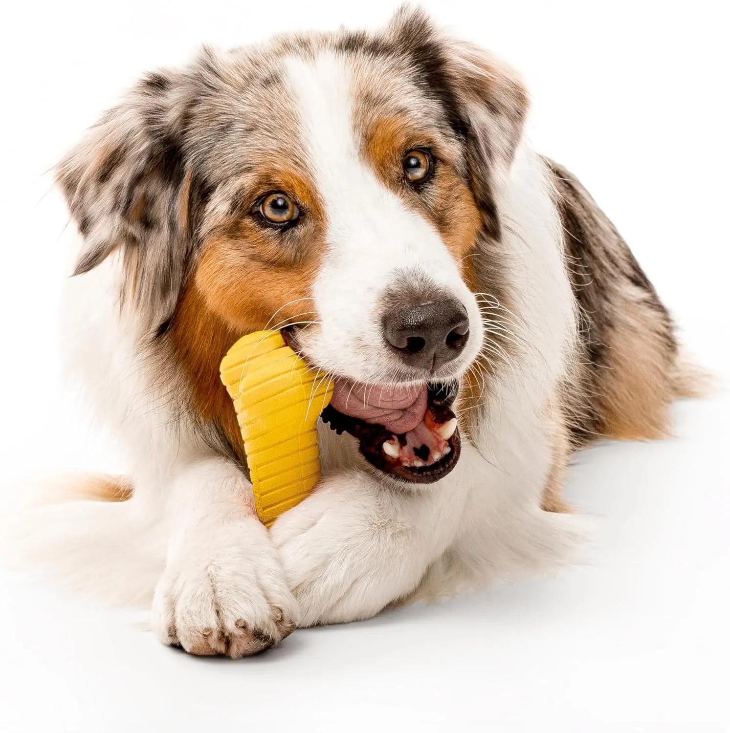 Playology Dual Layer Bone | Engaging All Natural Chicken Scented Dog Toy, Jumbo Size | Yellow Bone for Large to X-Large Dogs 50lbs & up | Interactive & Durable for Tough Chewers