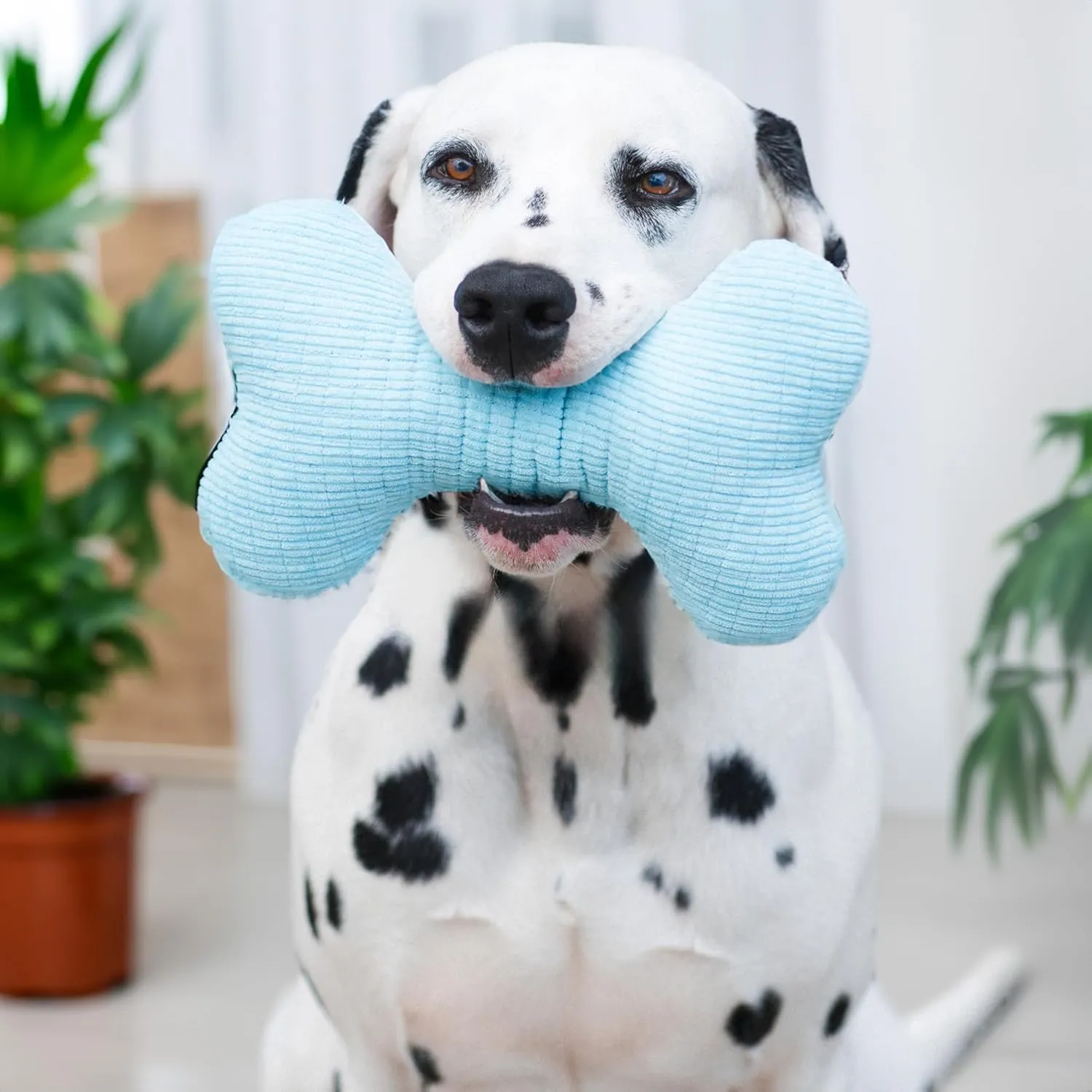 Playology Plush Squeaky Bone | Engaging All Natural Peanut Butter Scented Plush Dog Toy with Interactive Squeaker for Large to X-Large Dogs 50lbs & up | Easy to Clean | Squeak, Chew, Fetch, and Play