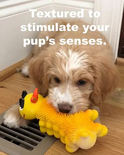 Sensory Caterpillar Soft Squeaky Natural Rubber Non-Toxic Dog Toy