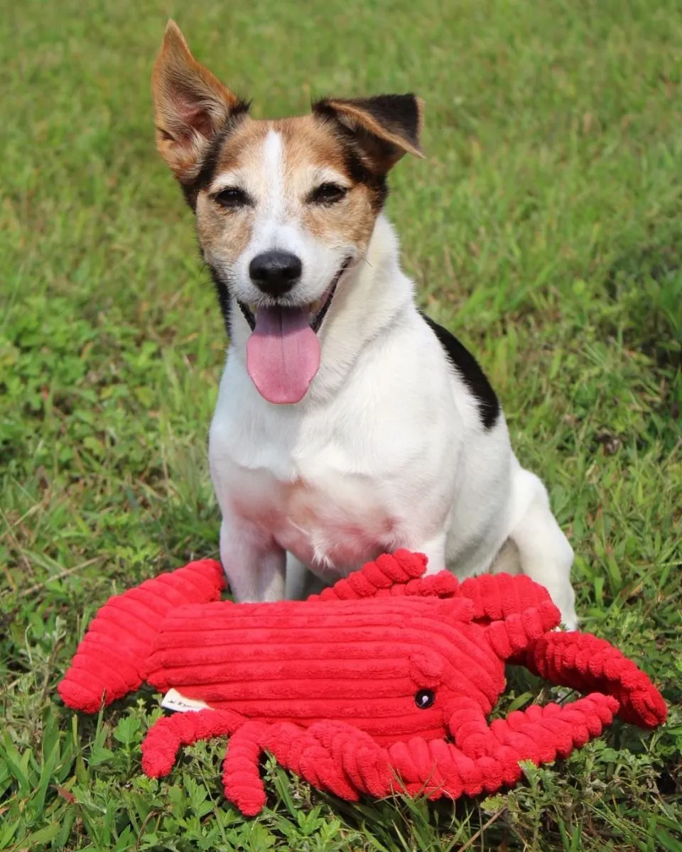 Tall Tails Dog Toy Crunch Lobster